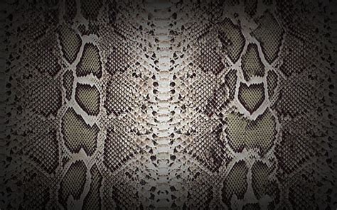 designer wallpaper with snakeskin background.